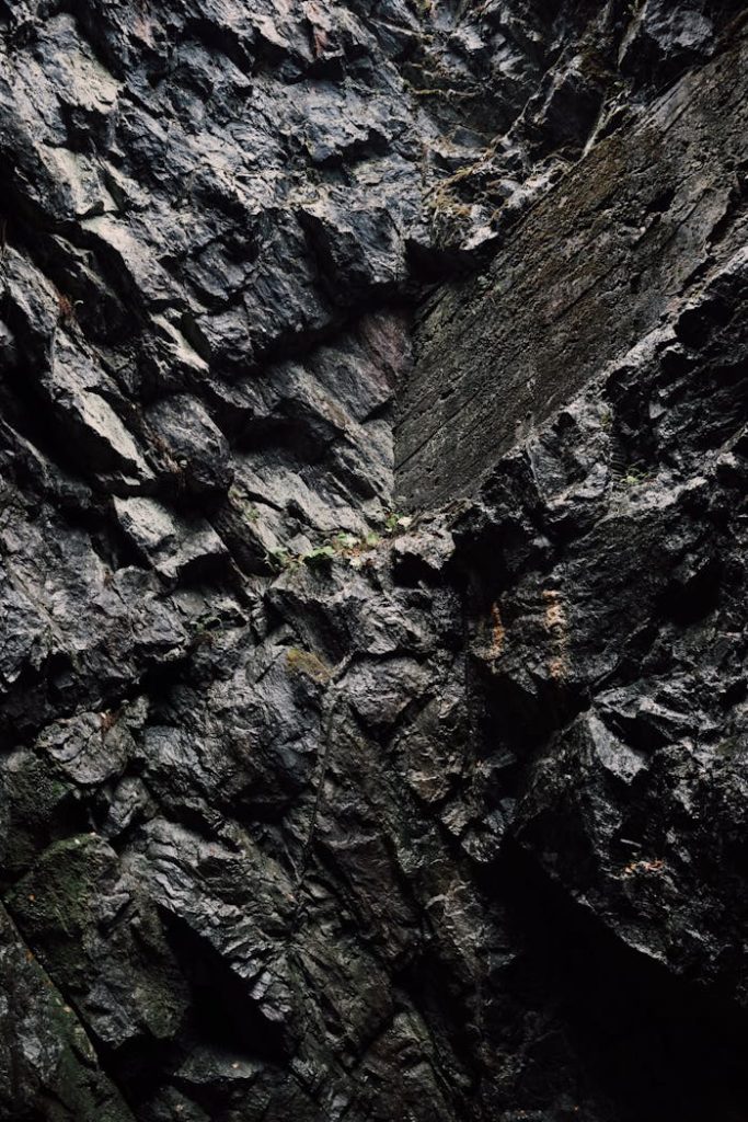 Detailed image of a rugged stone wall showing natural textures and geological formations.